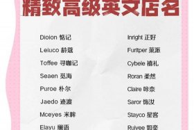 电商意思的英文名，电商意思的英文名字