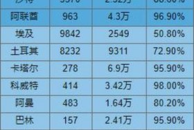 中东跨境电商有哪些（中东跨境电商有哪些国家）