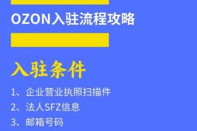 俄罗斯电商平台ozon怎么读，俄罗斯ozon平台怎么样