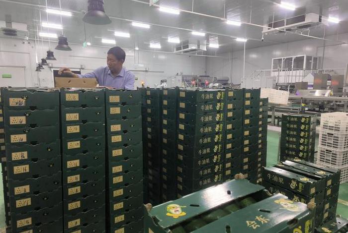 凉山电商 四川凉山州的农村电商 凉山电商 四川凉山州的农村电商