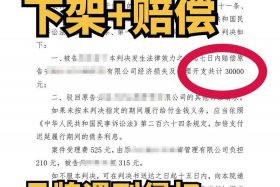 电商侵权答辩状模板范文，电商侵权损害应承担的责任