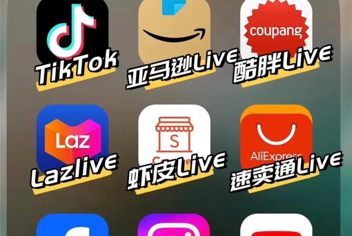 电商真的赚钱吗、蓝海项目海外抖音跨境电商真的赚钱吗