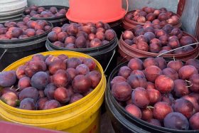 抖音电商直播、抖音电商直播会员怎么取消