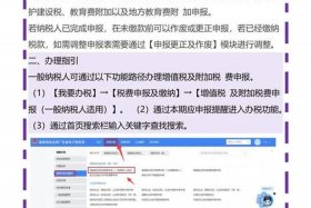 电商纳税申报流程视频教程；电商纳税申报流程视频教程全集