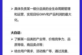 电商产品开发（电商产品开发工资高么）