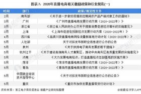 龙炎电商能退多少本金（龙炎电商2021退还本金新政策）