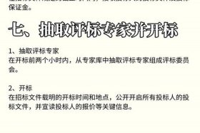 大唐电商平台投标；大唐电商平台投标流程