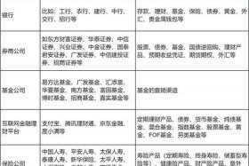 垂直电商理财平台（什么叫垂直电商平台）