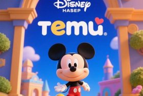 temu跨境电商平台；temu跨境电商平台商家入口