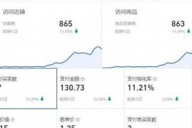 做电商怎么样3个月赚30万 - 做电商怎么样3个月赚30万元