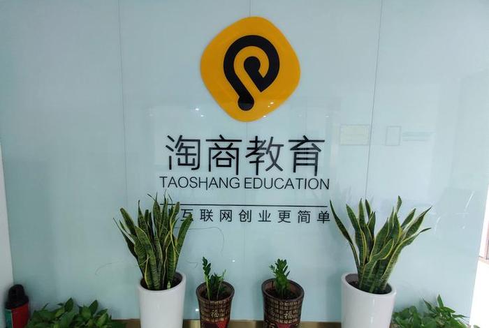 电商教育咨询公司有哪些（电商教育咨询公司有哪些公司）