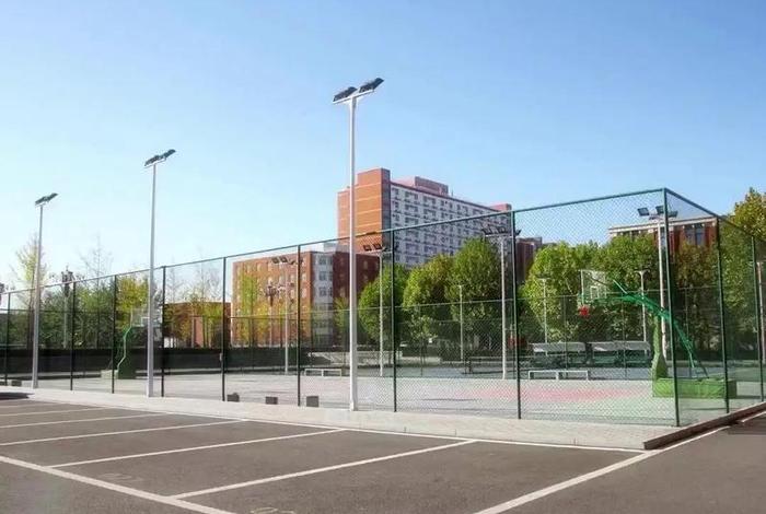 北大青鸟的培训课程 北大青鸟培训课程有哪些