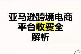 亚马逊跨境电商平台扣点（亚马逊跨境电商平台扣点多少钱）