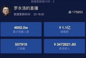 罗永浩直播电商的盈利模式；罗永浩的直播电商公司