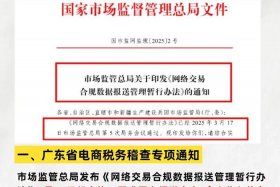 查电商老鼠是什么意思 查电商税务是什么意思