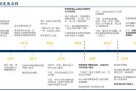 京东电商发展历程，京东电商的发展