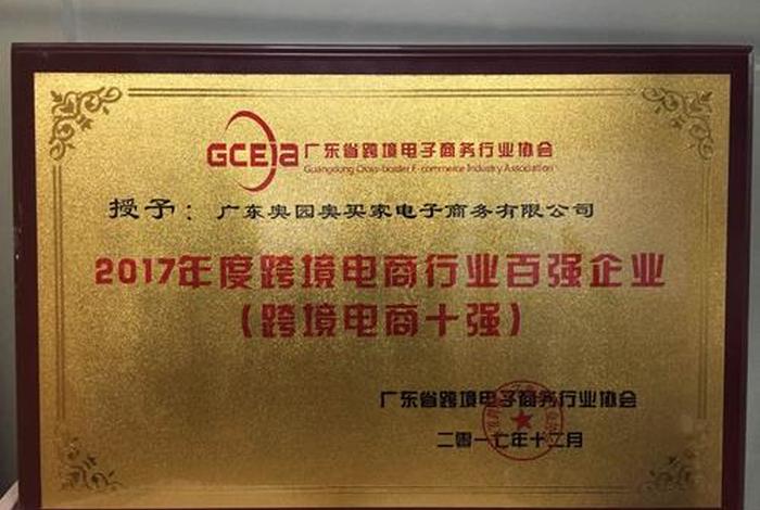 电商牌照是什么意思、电商品牌是什么意思