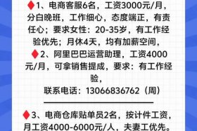 电商公司是做什么的招人的条件、电商公司是做什么的招人的条件呢