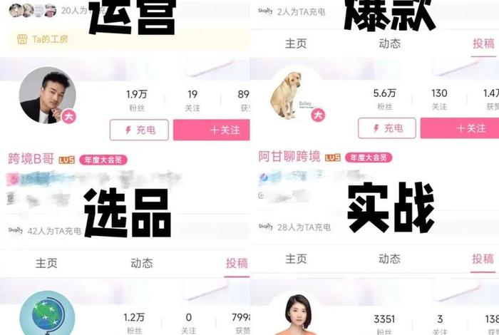 电商博主(电商博主有哪些) 电商博主(电商博主有哪些)