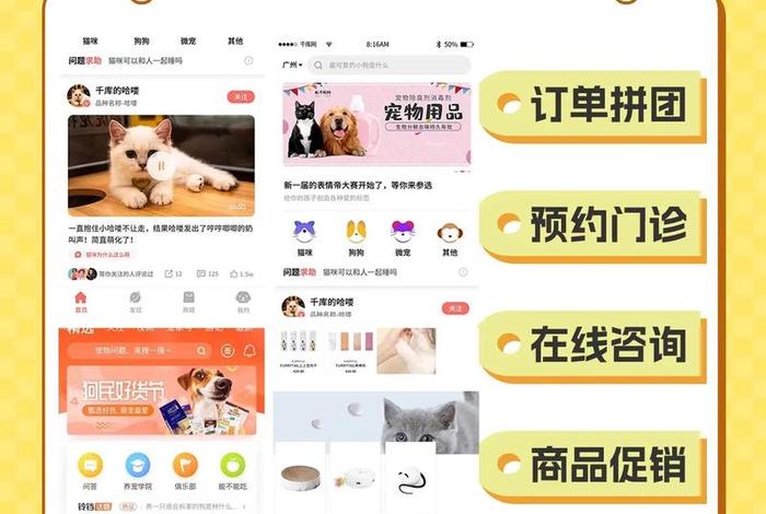 宠物电商带货课 宠物电商运营模式 宠物电商带货课 宠物电商运营模式