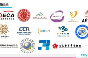 中国电商联盟官网首页（中国电商联盟官网首页入口）