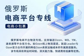 俄罗斯跨境电商网站、俄罗斯跨境电商网站官网