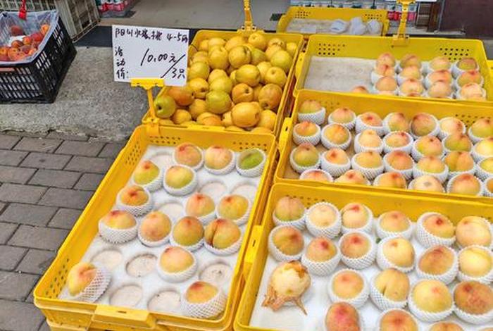 桃子电商售卖渠道;桃子电商售卖渠道有哪些 桃子电商售卖渠道;桃子电商售卖渠道有哪些