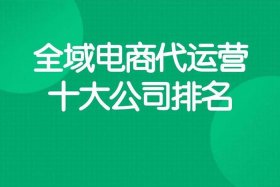 电商运营平台公司 电商运营平台公司有哪些