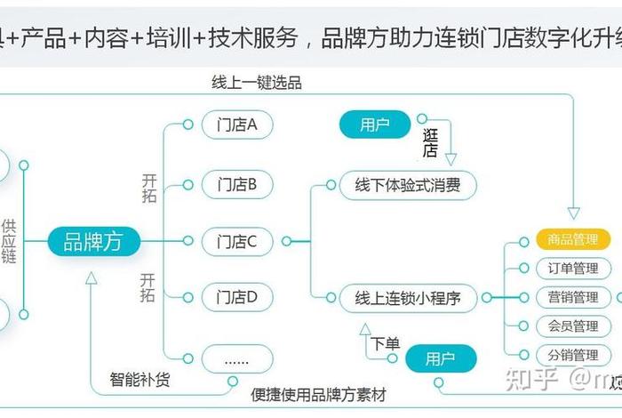 垂直电商网站有哪些共同特点；垂直电商网站有哪些共同特点呢