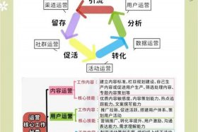 做电商运营读什么专业 做电商运营读什么专业书好