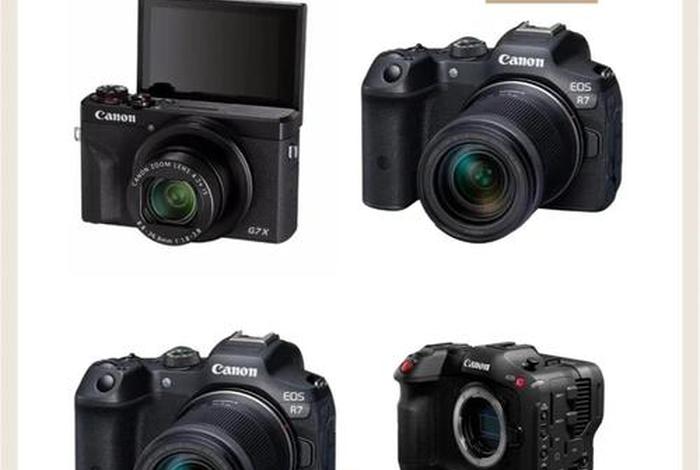 电商 直播 相机推荐（电商 直播 相机推荐哪款）