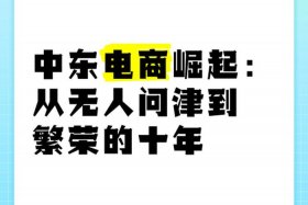 中东电商平台 - 中东电商平台jollychic