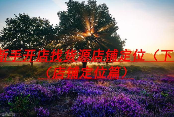 美迪电商学院 美迪电商学院地址 美迪电商学院 美迪电商学院地址