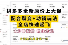 电商价格标低引流 商品显示低价引流