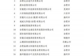 安徽电商排名 安徽电商企业排名