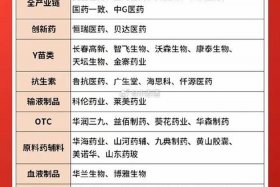 医药电商龙头上市公司；医药电商龙头上市公司排名