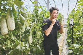 山东直播带货产品供应链 - 山东直播带货产品供应链有限公司