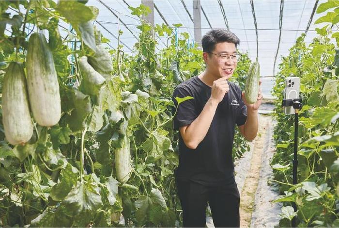 山东直播带货产品供应链 - 山东直播带货产品供应链有限公司 山东直播带货产品供应链 - 山东直播带货产品供应链有限公司