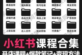 小红书电商0基础 小红书 电商