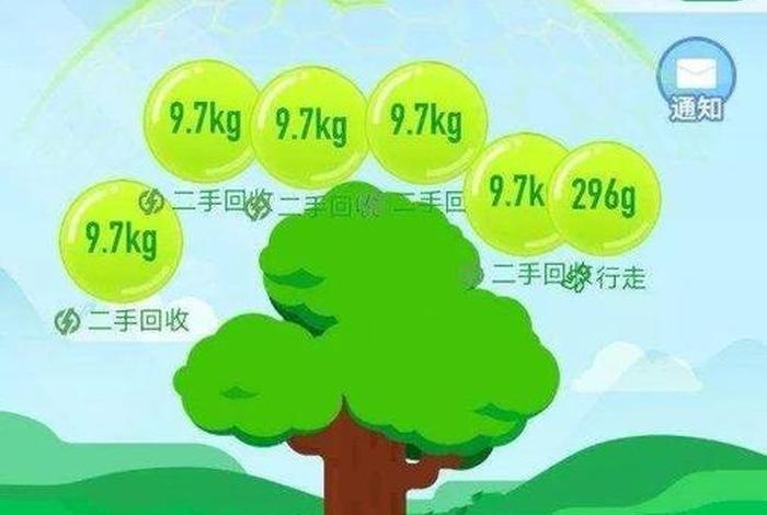 电商森林社是什么,森林时代电子商务 电商森林社是什么,森林时代电子商务