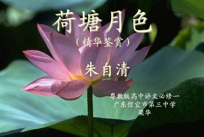 荷塘月色淘宝论坛首页,荷塘月色淘宝小号购买论坛 荷塘月色淘宝论坛首页,荷塘月色淘宝小号购买论坛