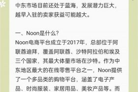 noon电商平台官网沙特站，沙特电商平台有哪些