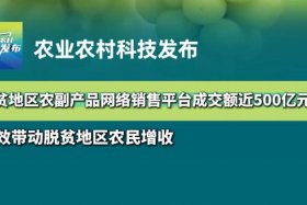 扶贫电商平台官网、扶贫电商平台官网网址