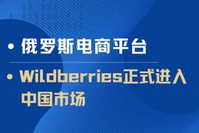 俄罗斯跨境电商平台哪个最好最可靠、俄罗斯跨境电商平台哪个最好最可靠的