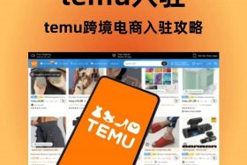 temu跨境电商官网入口网页版 netsuite 跨境电商