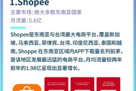 东南亚电商平台哪个好 - 东南亚电商平台哪个好用