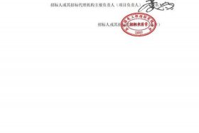 大唐电商；大唐电商平台