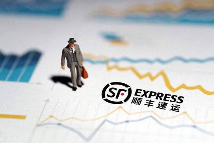 顺丰电商领域（顺丰发展电商）