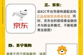 b2c电商平台有哪些app；b2c类型的电商平台有哪些