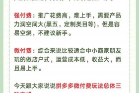 电商付费推广有几种方式（电商付费推广有几种方式呢）